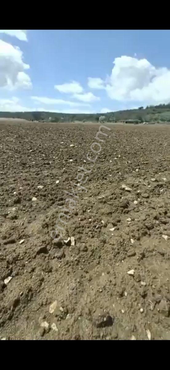 Salihli Beşyol Emlaktan 250 Dönüme Kadar Satılık Araziler - Görsel 6