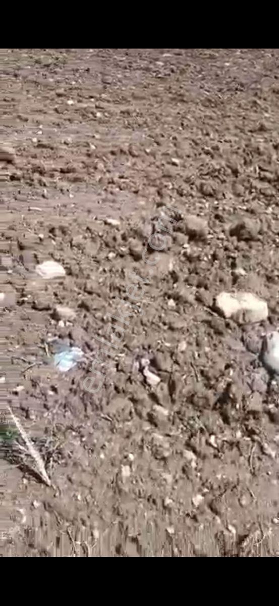 Salihli Beşyol Emlaktan 250 Dönüme Kadar Satılık Araziler - Görsel 8
