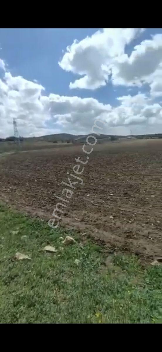 Salihli Beşyol Emlaktan 250 Dönüme Kadar Satılık Araziler - Görsel 15