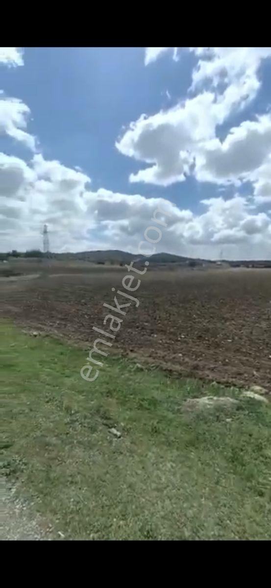 Salihli Beşyol Emlaktan 250 Dönüme Kadar Satılık Araziler - Görsel 16
