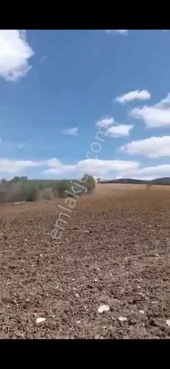 Salihli Beşyol Emlaktan 250 Dönüme Kadar Satılık Araziler - Görsel 10