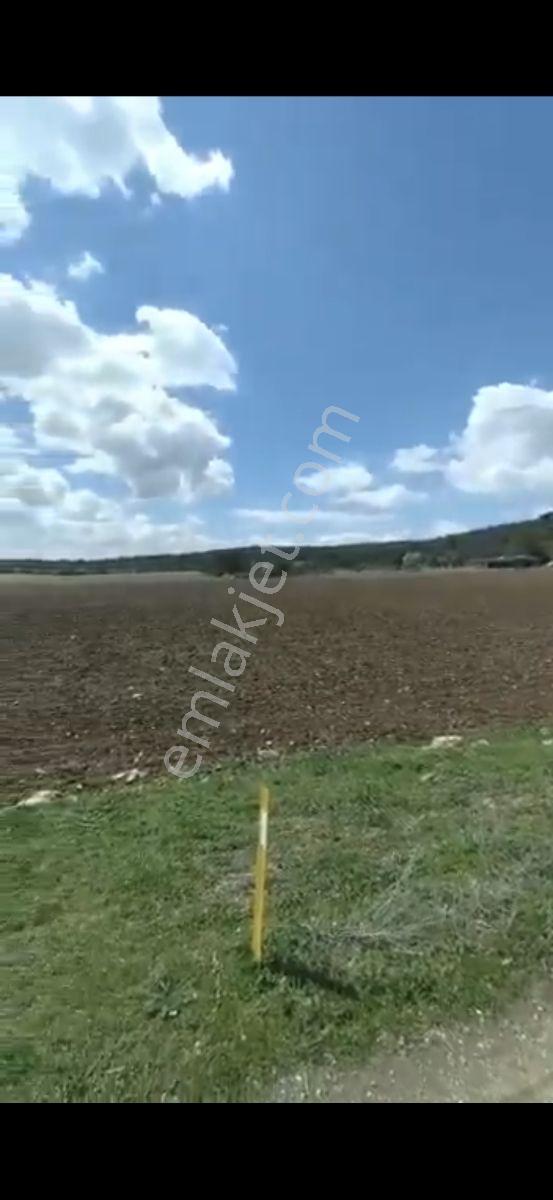 Salihli Beşyol Emlaktan 250 Dönüme Kadar Satılık Araziler - Görsel 4