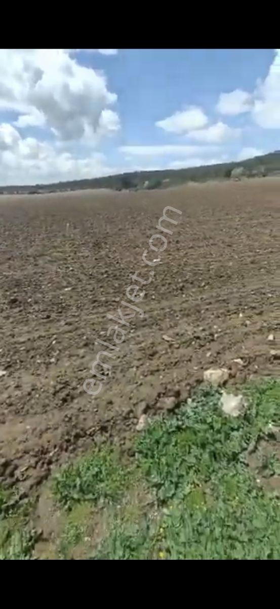 Salihli Beşyol Emlaktan 250 Dönüme Kadar Satılık Araziler - Görsel 14
