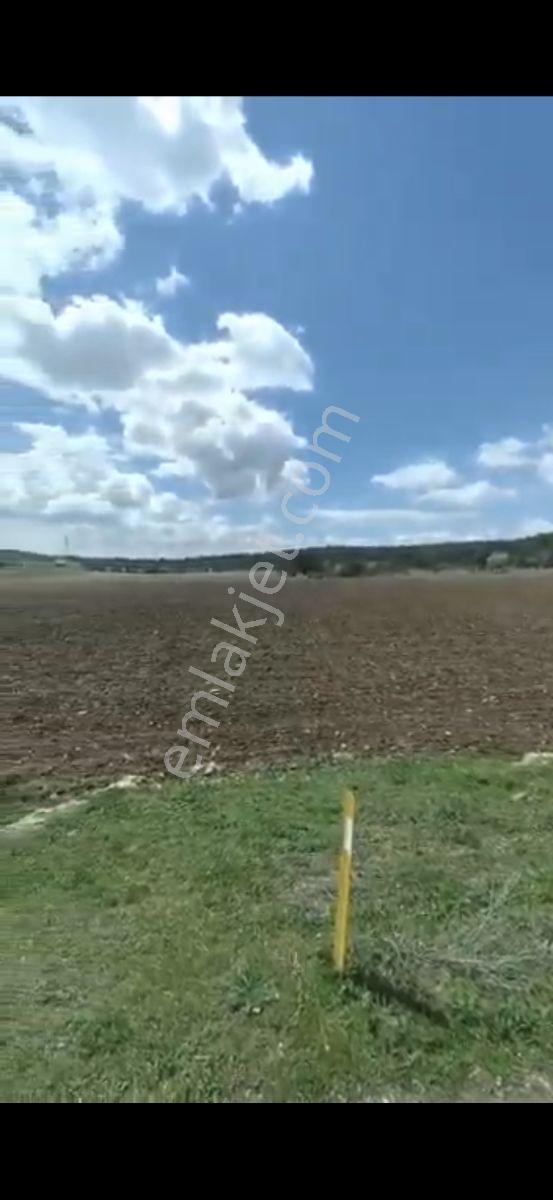 Salihli Beşyol Emlaktan 250 Dönüme Kadar Satılık Araziler - Görsel 2