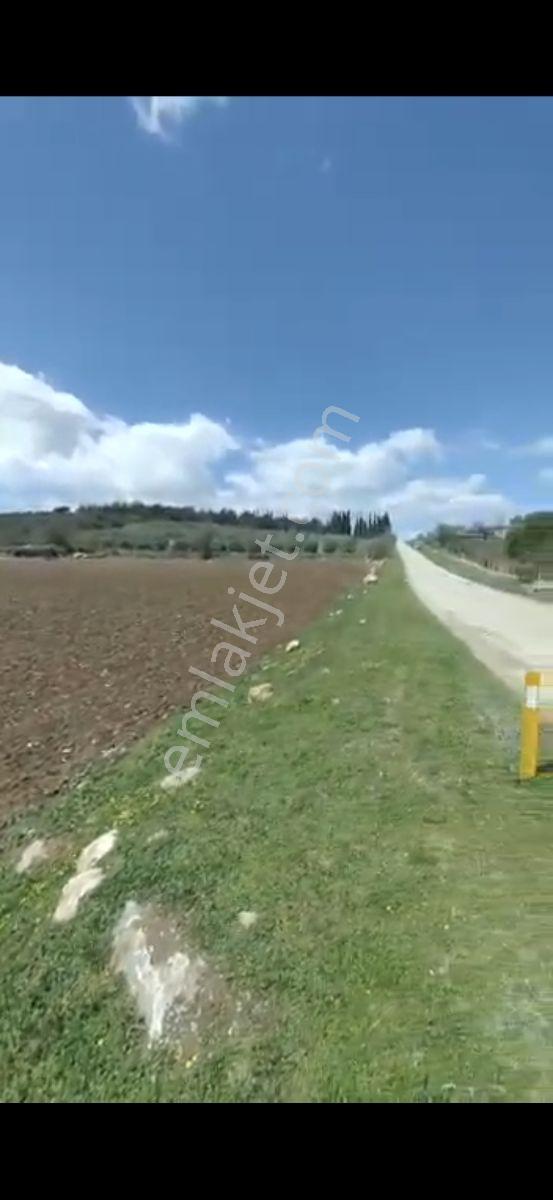 Salihli Beşyol Emlaktan 250 Dönüme Kadar Satılık Araziler - Görsel 3