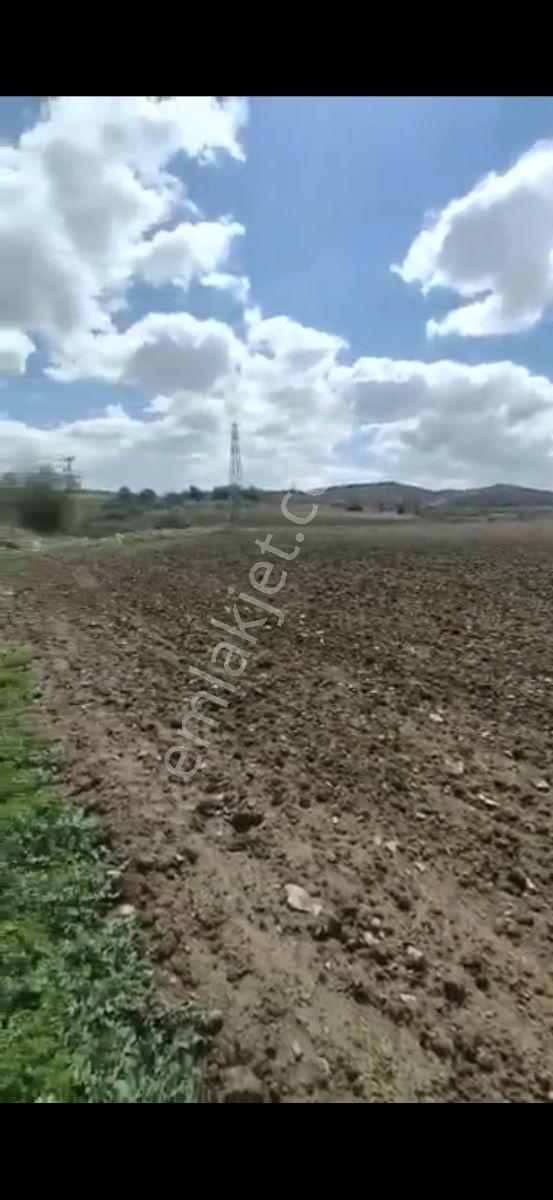Salihli Beşyol Emlaktan 250 Dönüme Kadar Satılık Araziler - Görsel 13