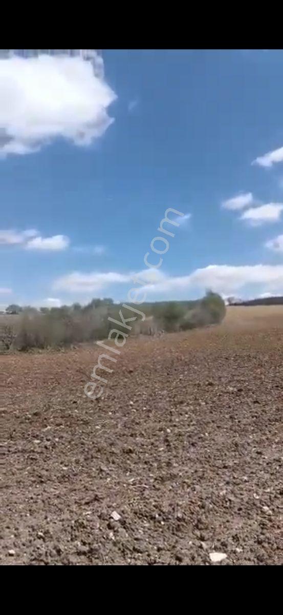 Salihli Beşyol Emlaktan 250 Dönüme Kadar Satılık Araziler - Görsel 9