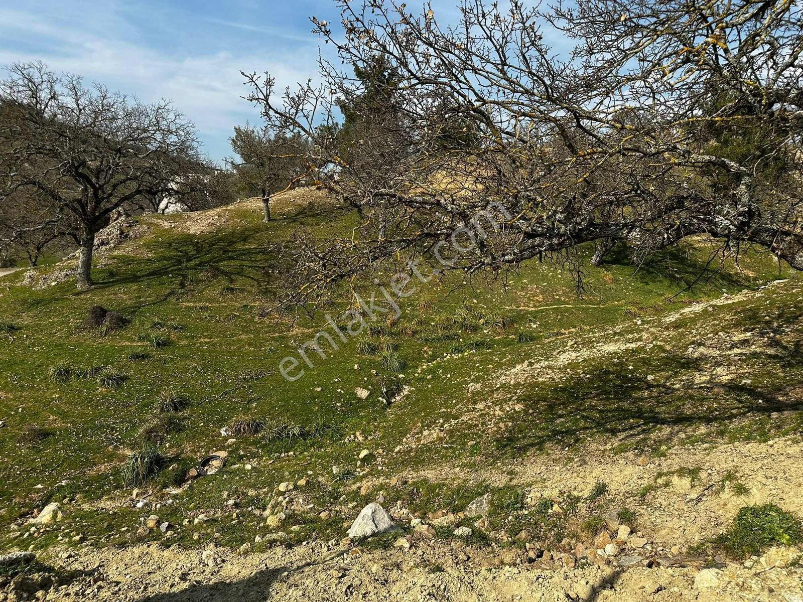 Acar Emlaktan Davutlarda Satılık Müstakil Tapulu Arsa - Görsel 8