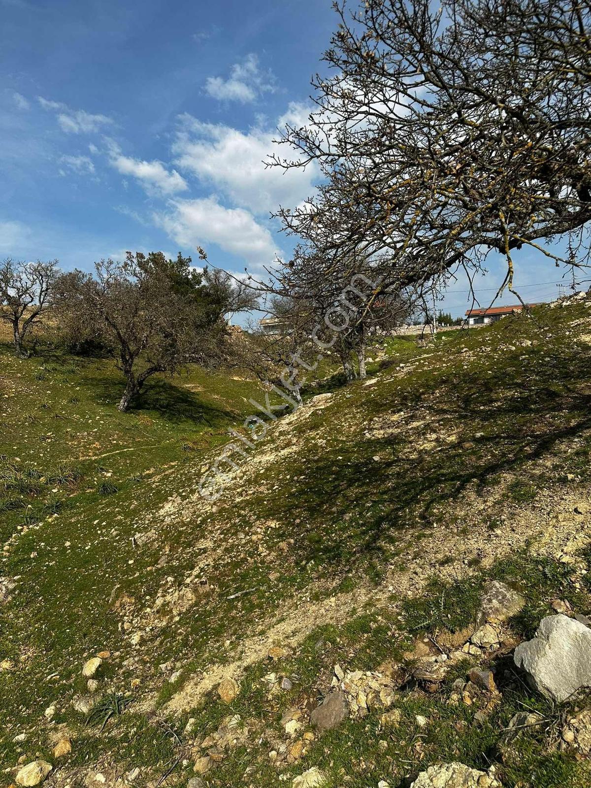 Acar Emlaktan Davutlarda Satılık Müstakil Tapulu Arsa - Görsel 6