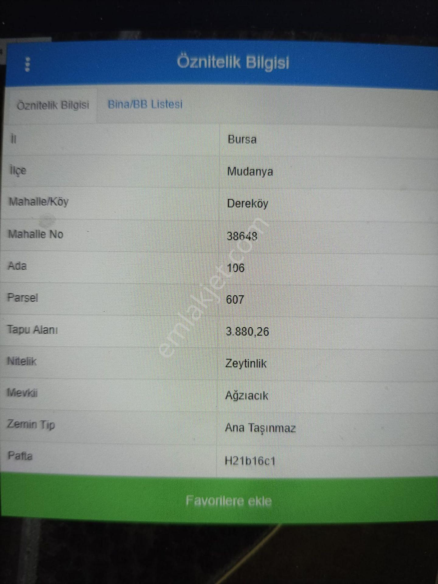 Rt Safir'den Mudanya Dere Köy'de Yatırımlık Tarla - Görsel 4