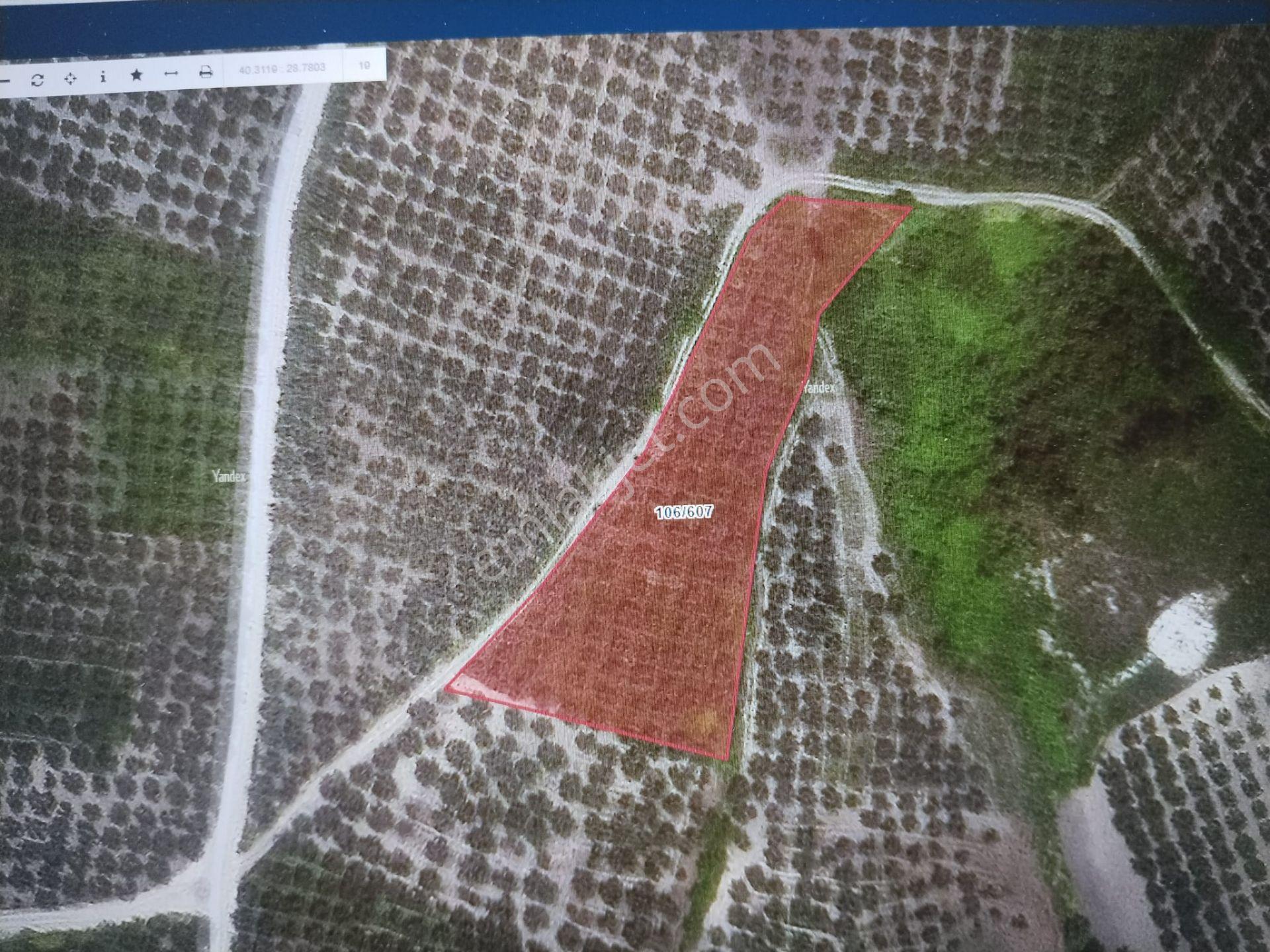 Rt Safir'den Mudanya Dere Köy'de Yatırımlık Tarla
