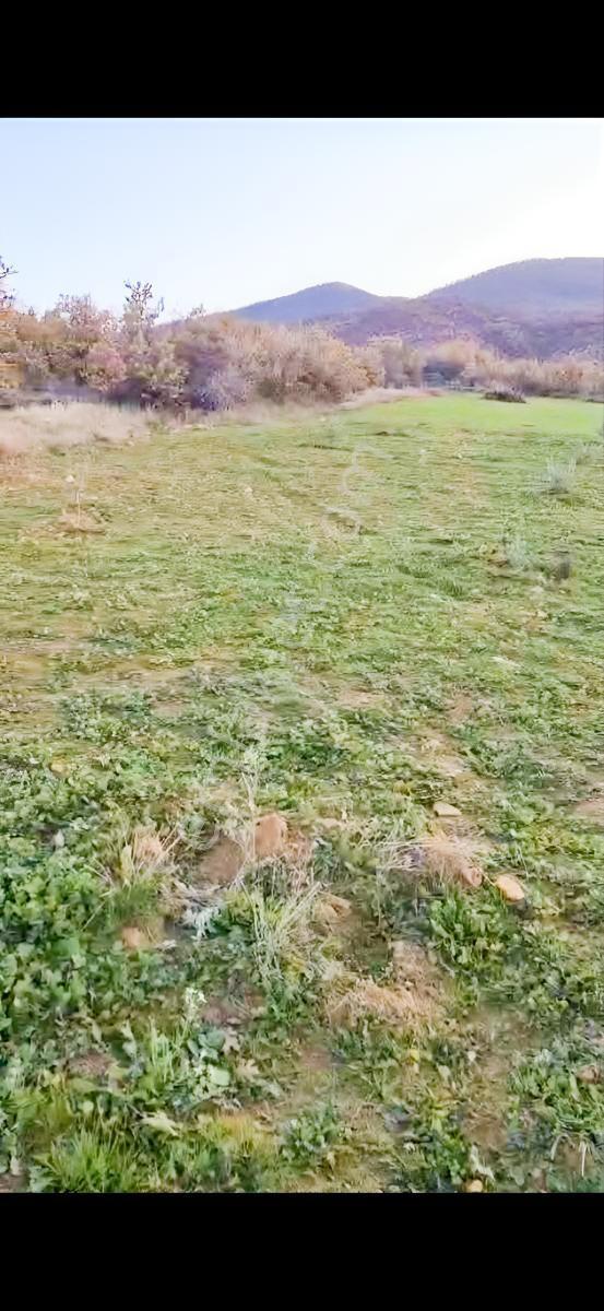 Salihli Beşyol Emlaktan Satılık 190 Dönüme Kadar Araziler - Görsel 4