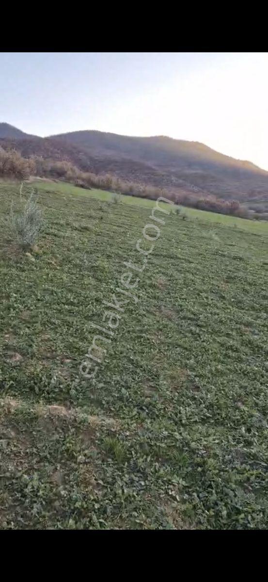 Salihli Beşyol Emlaktan Satılık 190 Dönüme Kadar Araziler - Görsel 6