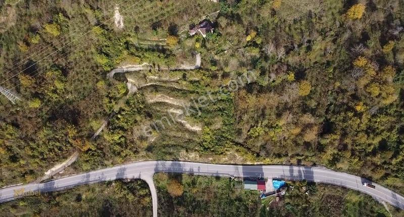 Fatsa Yenipazar Mh. Ilıca Ve Kavraz Yolu Arasında Satılık Bahçe - Görsel 13