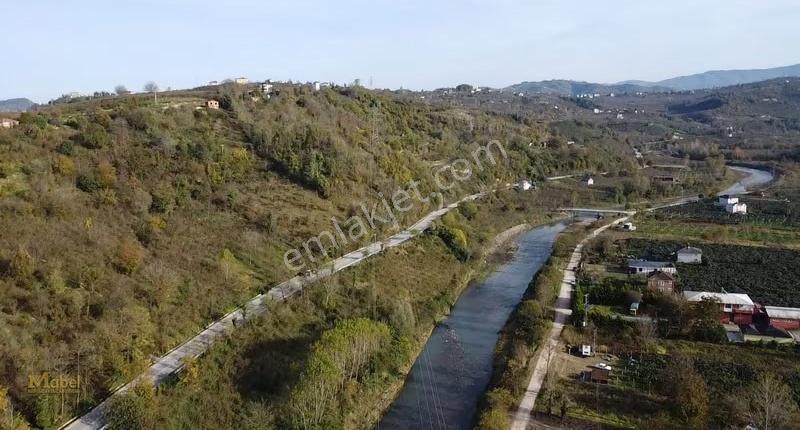 Fatsa Yenipazar Mh. Ilıca Ve Kavraz Yolu Arasında Satılık Bahçe - Görsel 7
