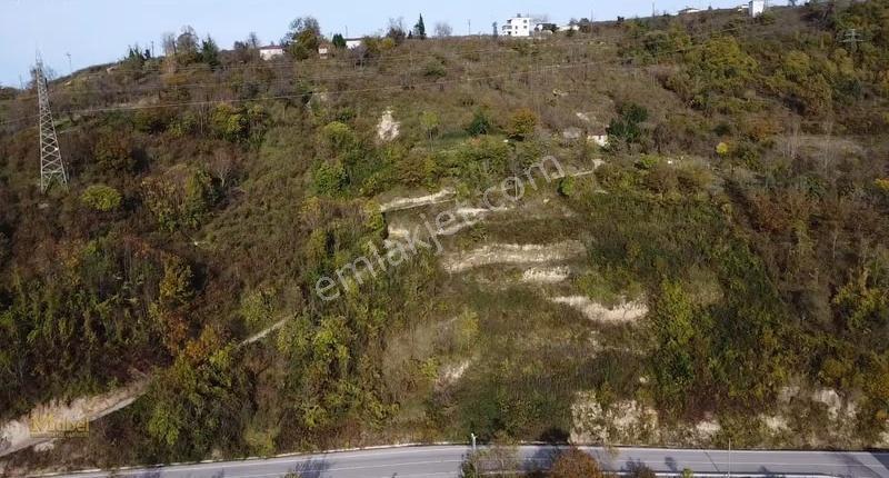 Fatsa Yenipazar Mh. Ilıca Ve Kavraz Yolu Arasında Satılık Bahçe - Görsel 6