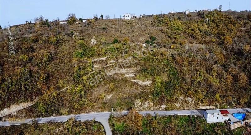 Fatsa Yenipazar Mh. Ilıca Ve Kavraz Yolu Arasında Satılık Bahçe - Görsel 14