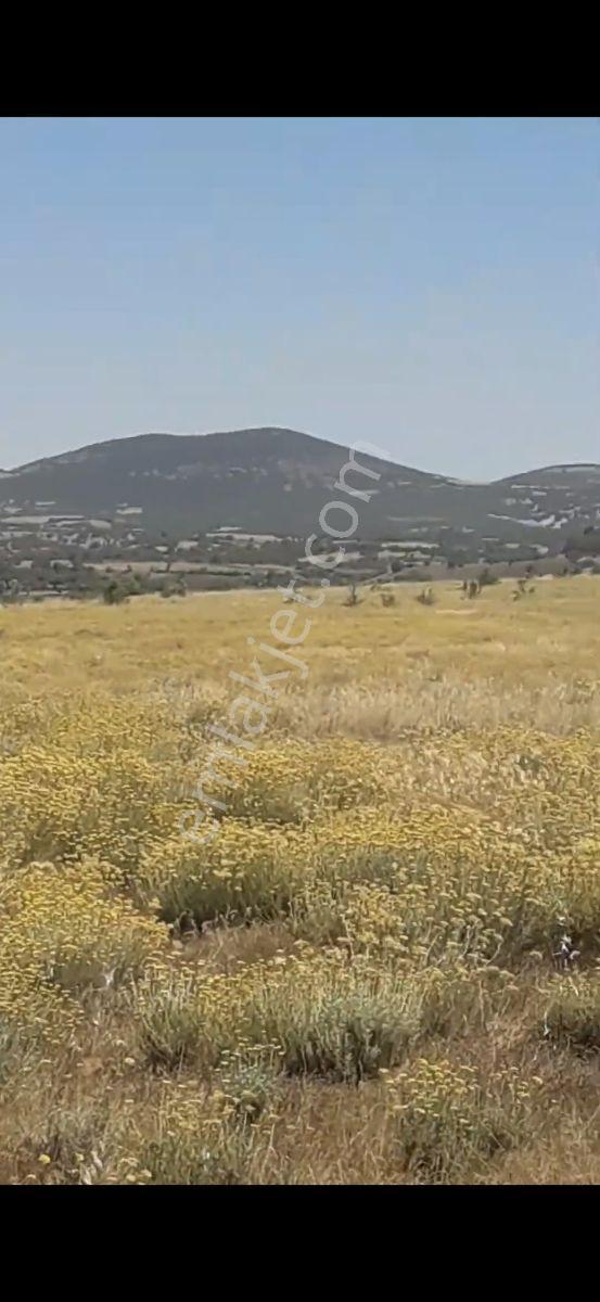 Salihli Beşyol Emlaktan Satılık 300 Dönüme Kadar Araziler