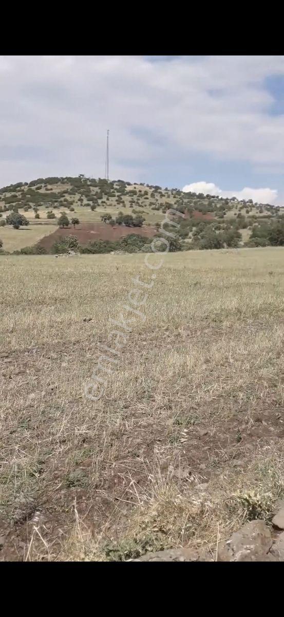 Salihli Beşyol Emlaktan Satılık 300 Dönüme Kadar Araziler - Görsel 9