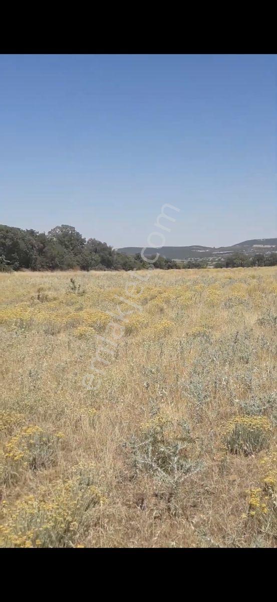 Salihli Beşyol Emlaktan Satılık 300 Dönüme Kadar Araziler - Görsel 3