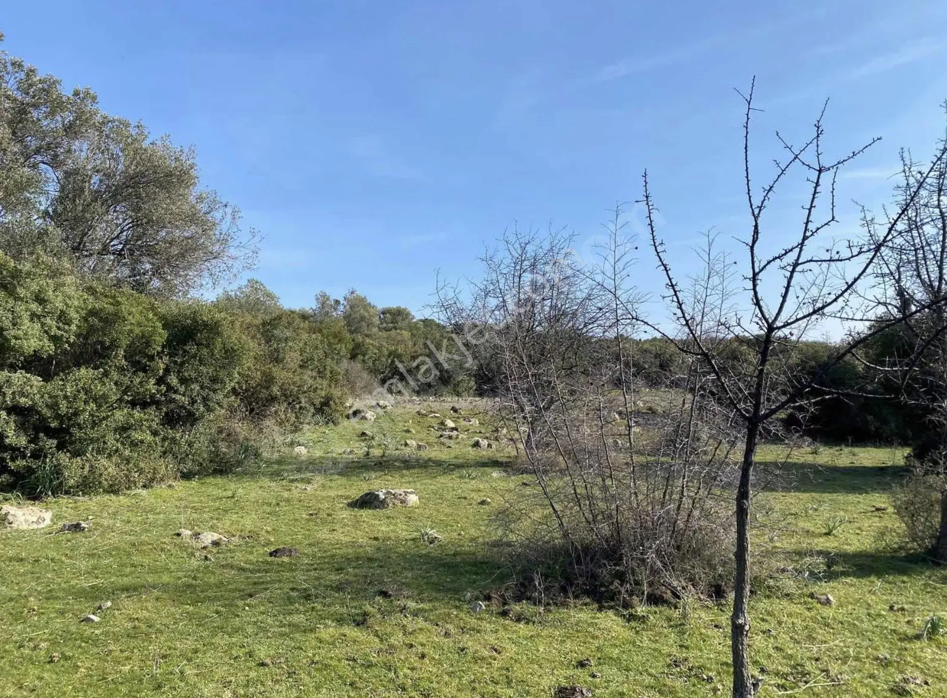 Çanakkale Ayvacık Paşaköy'de 22 Dönüm Satılık Tarla