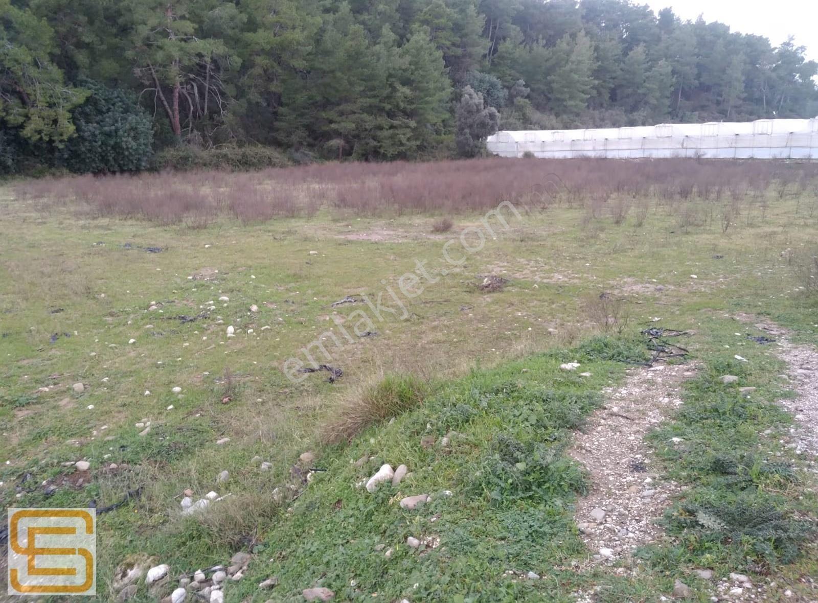 Gebiz Dorumlar Köyünde Satılık Tarla - Görsel 3