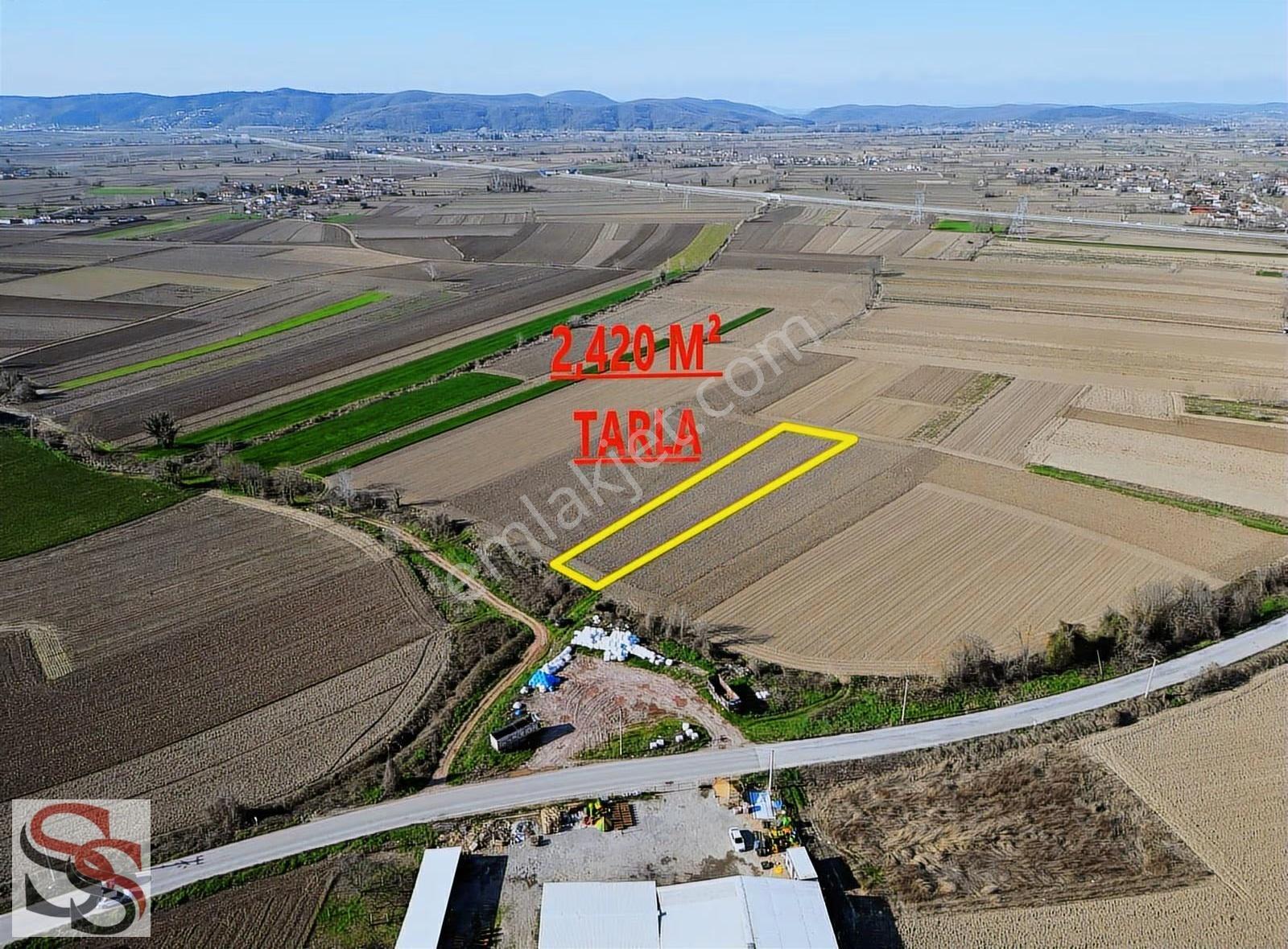 Adapazarı Hacıramazanlarda Güzel Konumda 2420m² Yatırımlık Tarla - Görsel 3
