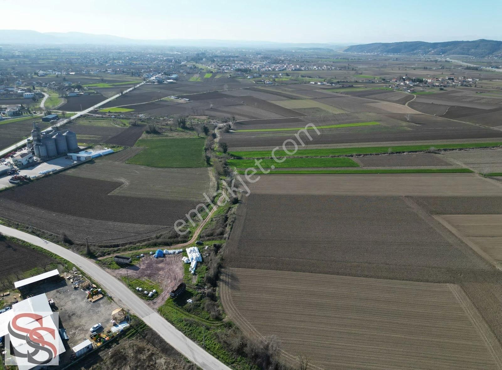 Adapazarı Hacıramazanlarda Güzel Konumda 2420m² Yatırımlık Tarla - Görsel 7