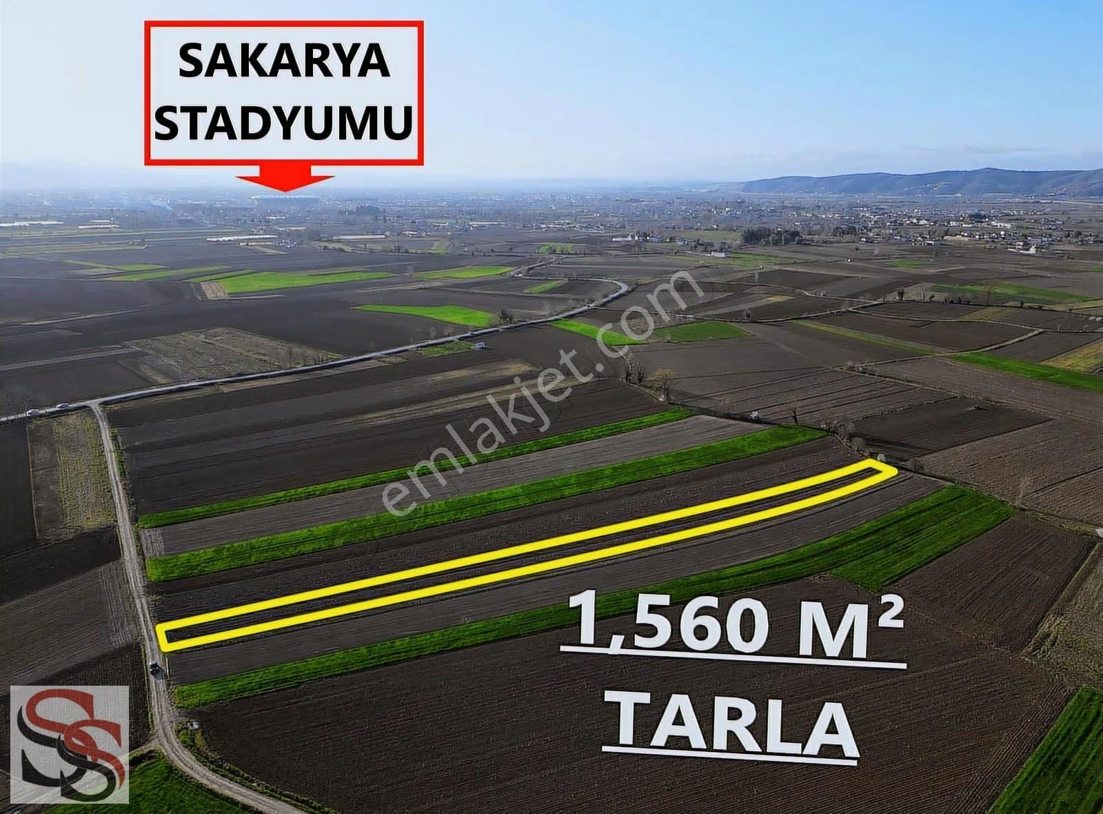 Adapazarı Çökekler Mahallesinde 1,560 M² Yatırımlık Tarla