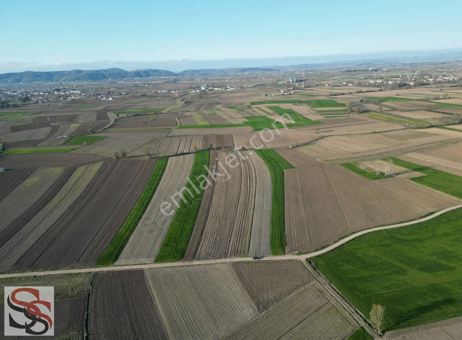 Adapazarı Çökekler Mahallesinde 1,560 M² Yatırımlık Tarla - Görsel 7