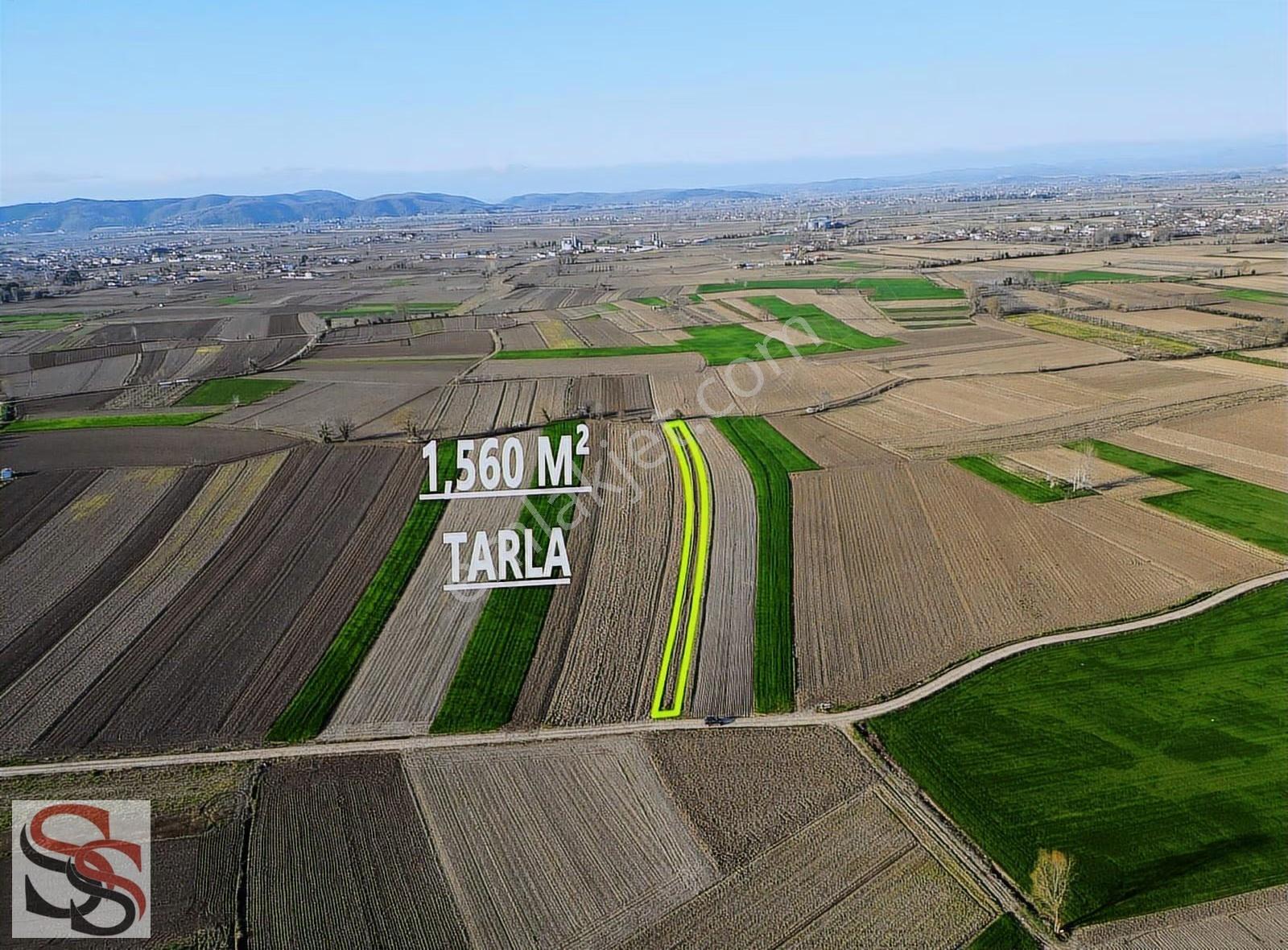 Adapazarı Çökekler Mahallesinde 1,560 M² Yatırımlık Tarla - Görsel 4