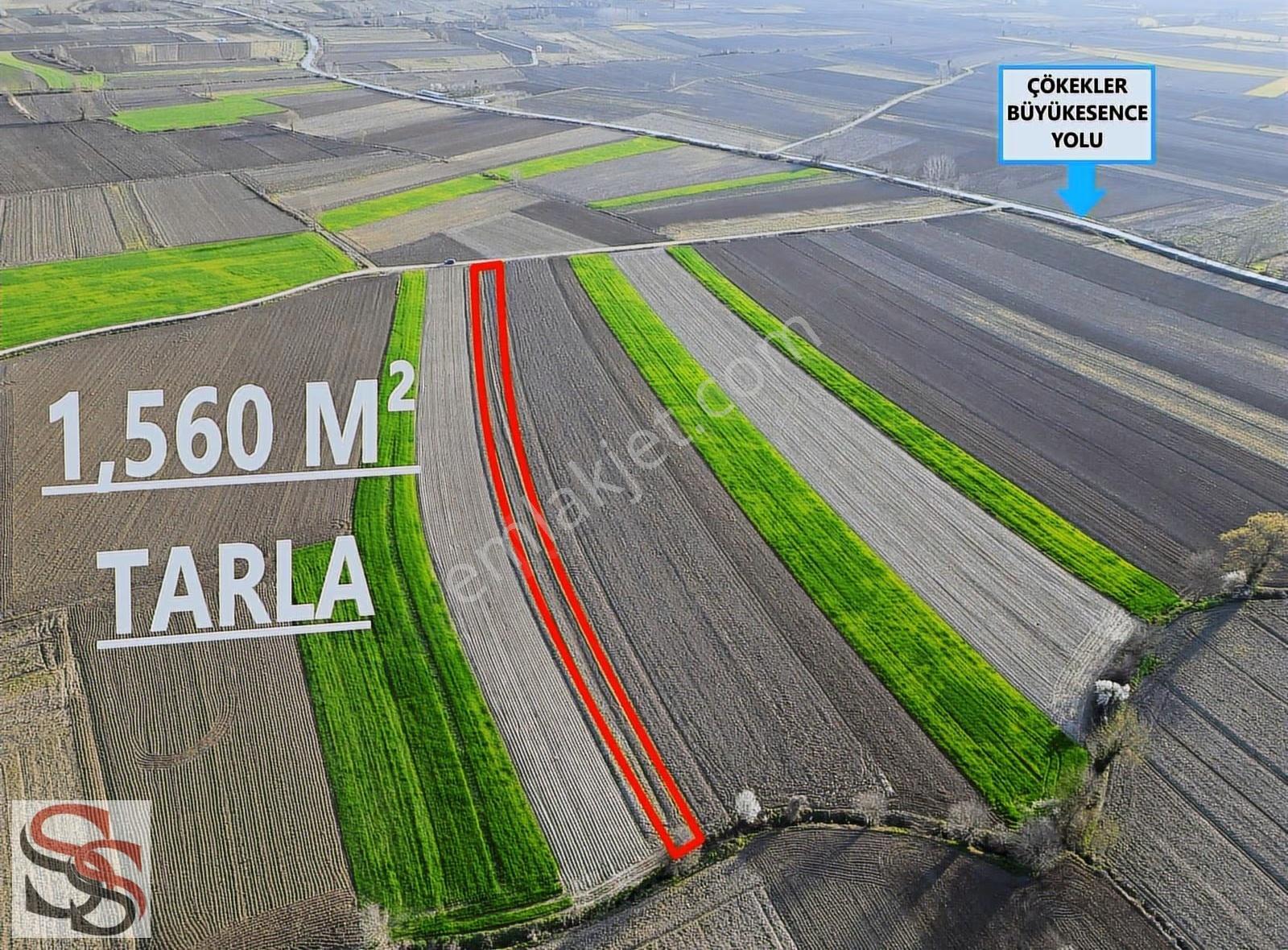 Adapazarı Çökekler Mahallesinde 1,560 M² Yatırımlık Tarla - Görsel 5