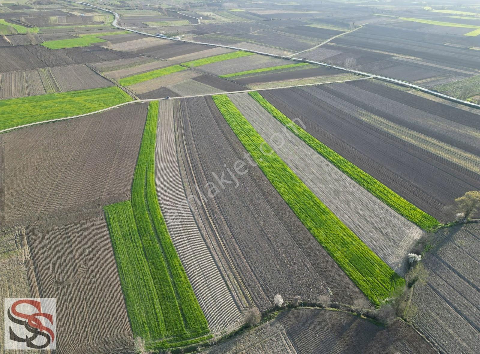 Adapazarı Çökekler Mahallesinde 1,560 M² Yatırımlık Tarla - Görsel 8