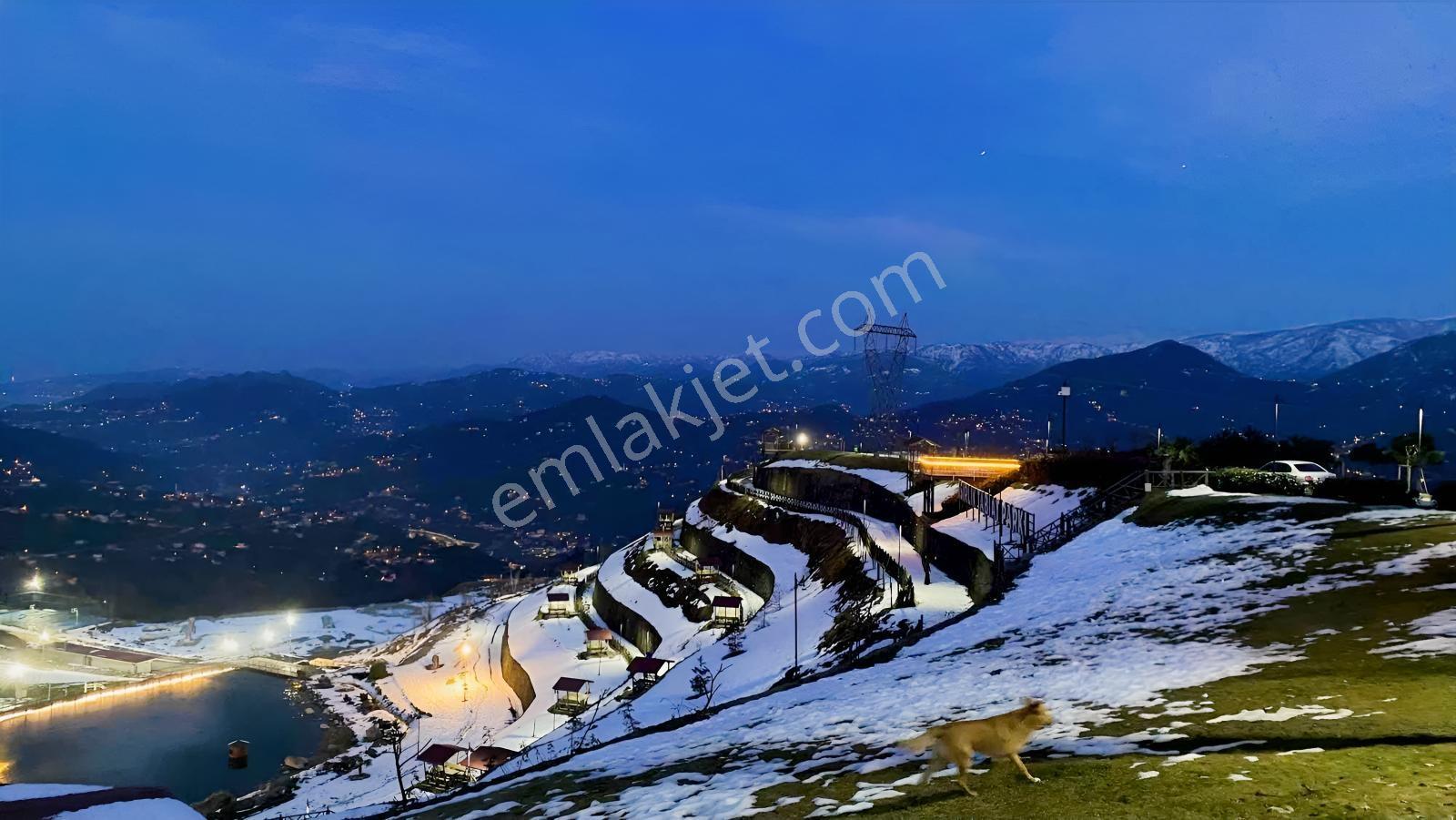 Altın Emlak Rize Isırlık Tabiat Parkı Yanı Satılık Fırsat Arsa - Görsel 12