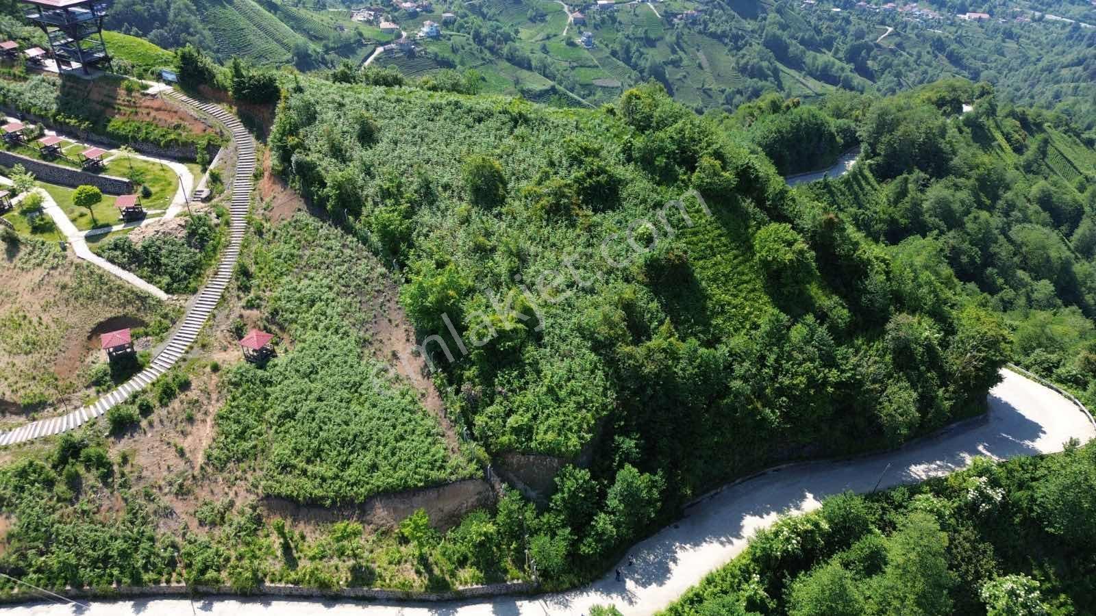 Altın Emlak Rize Isırlık Tabiat Parkı Yanı Satılık Fırsat Arsa - Görsel 20