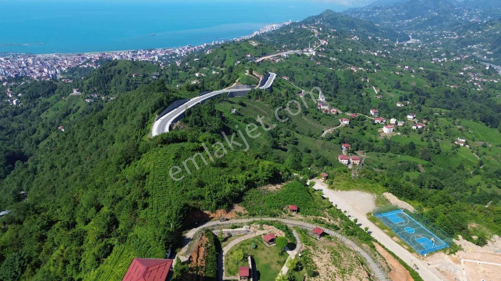 Altın Emlak Rize Isırlık Tabiat Parkı Yanı Satılık Fırsat Arsa - Görsel 11