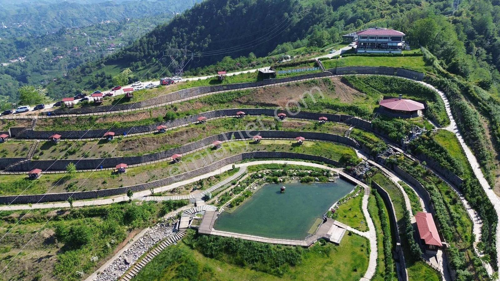 Altın Emlak Rize Isırlık Tabiat Parkı Yanı Satılık Fırsat Arsa - Görsel 14