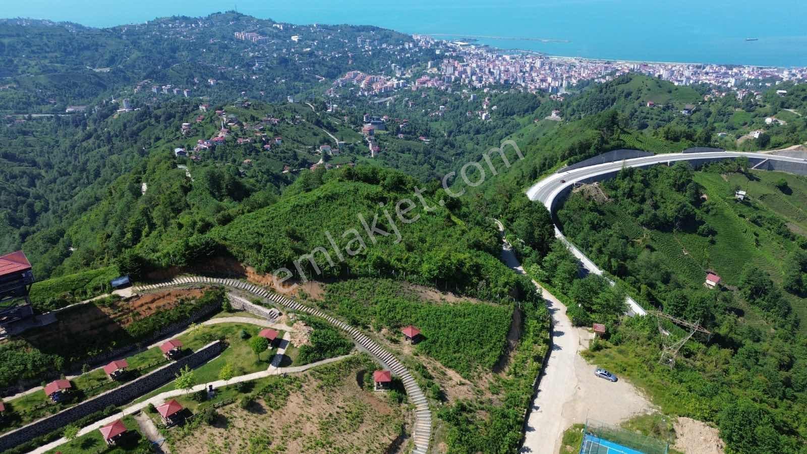 Altın Emlak Rize Isırlık Tabiat Parkı Yanı Satılık Fırsat Arsa