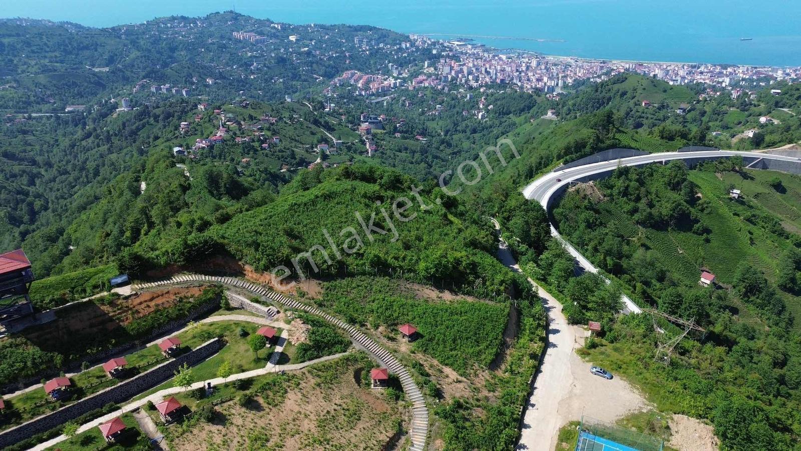 Altın Emlak Rize Isırlık Tabiat Parkı Yanı Satılık Fırsat Arsa - Görsel 4