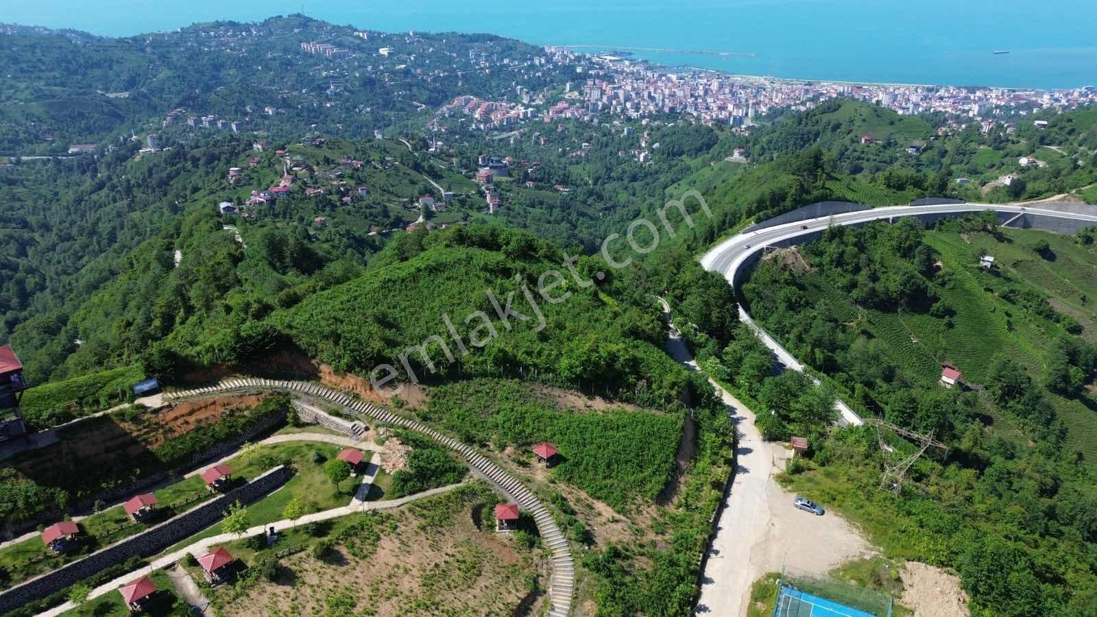 Altın Emlak Rize Isırlık Tabiat Parkı Yanı Satılık Fırsat Arsa - Görsel 19