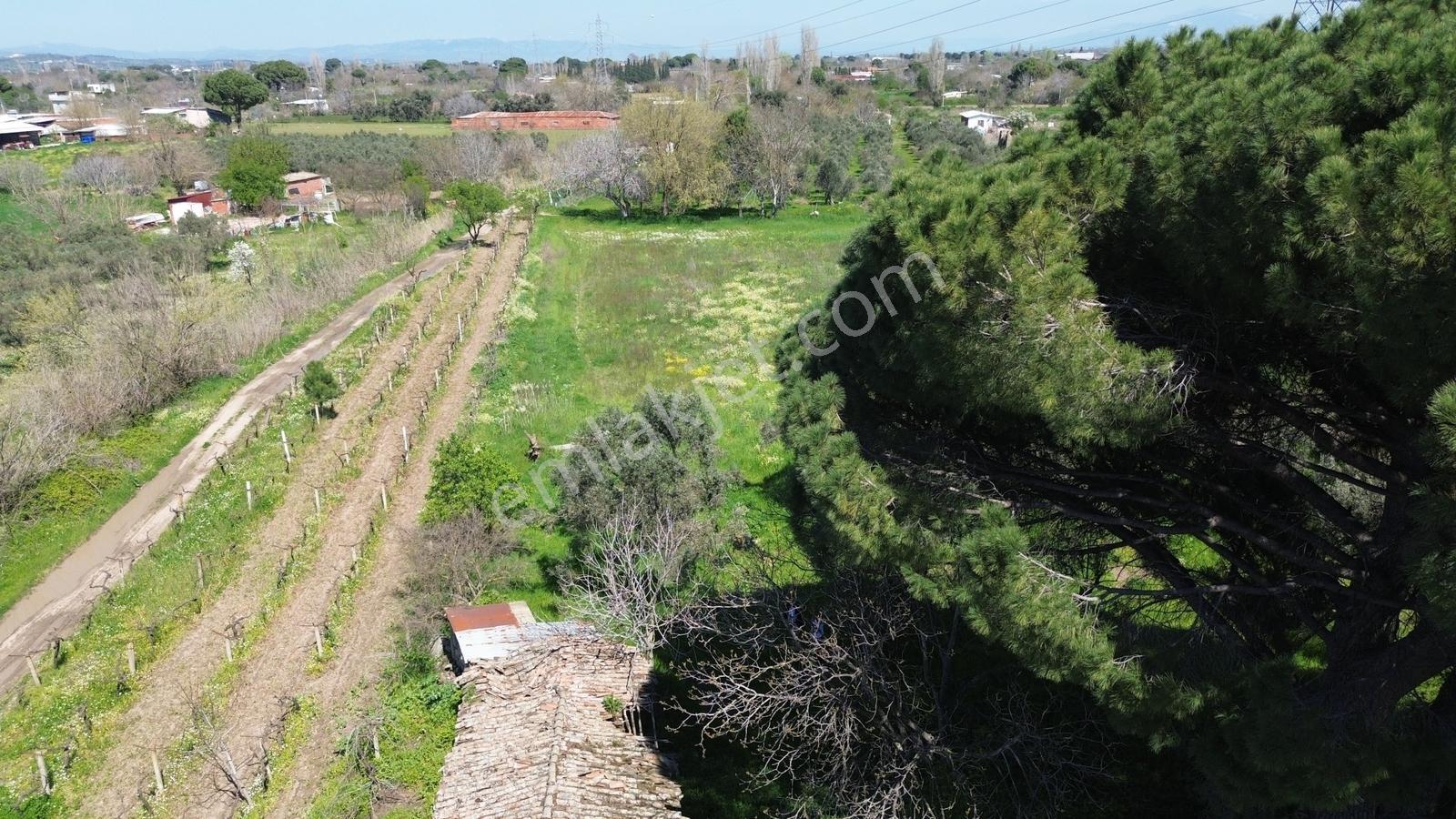 Bergama Atatürk Mahallesinde Bağlar'da Satılık 4.560m2 Bağ - Görsel 7