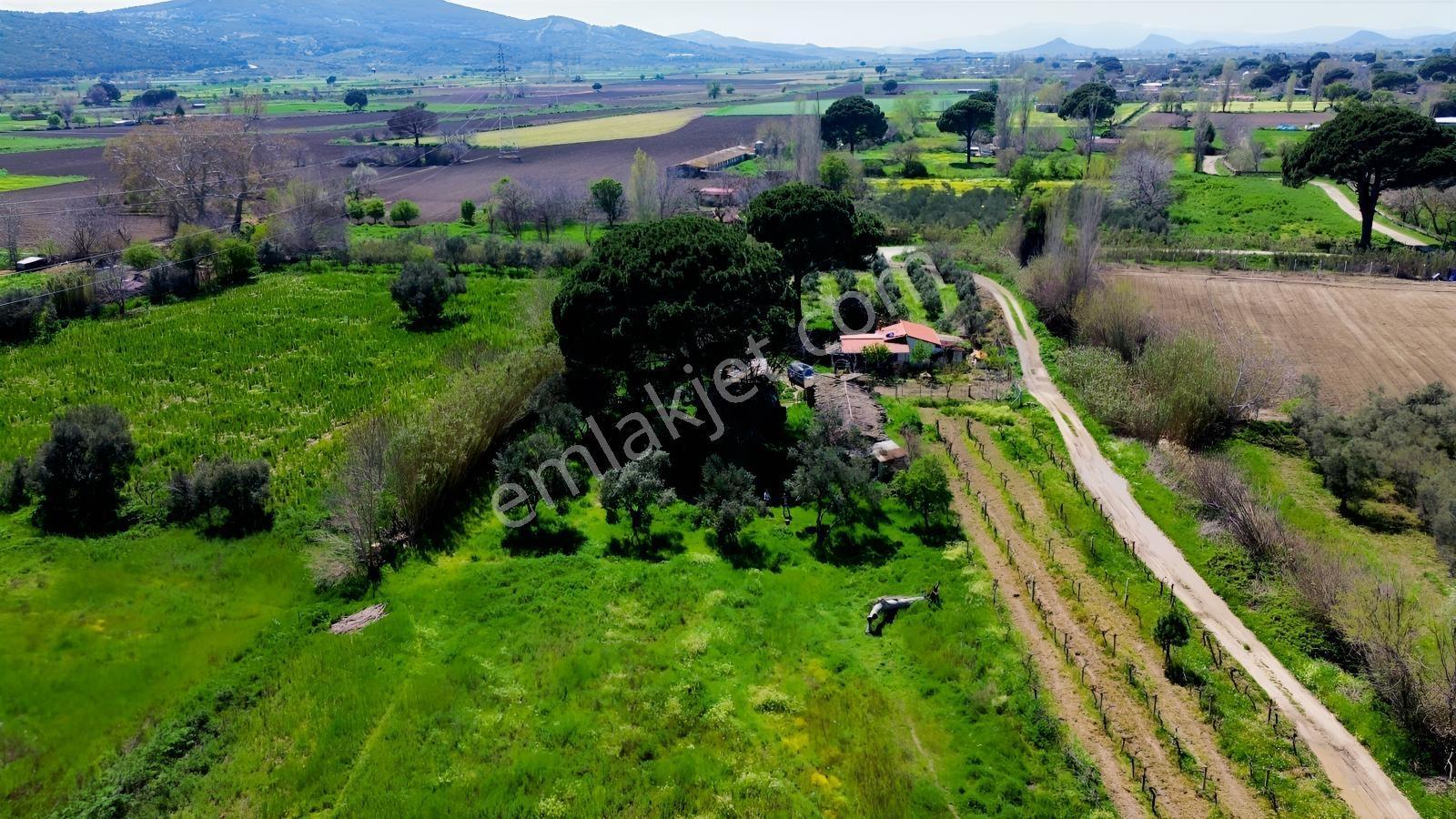 Bergama Atatürk Mahallesinde Bağlar'da Satılık 4.560m2 Bağ - Görsel 22