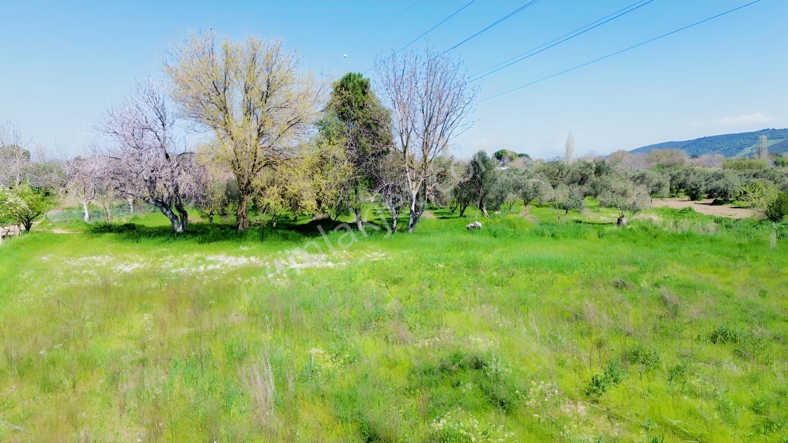Bergama Atatürk Mahallesinde Bağlar'da Satılık 4.560m2 Bağ - Görsel 33