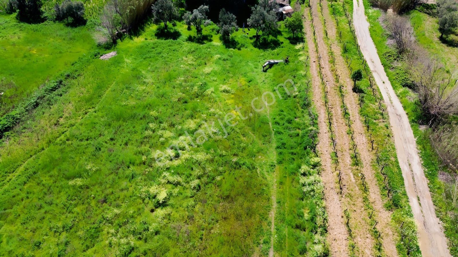 Bergama Atatürk Mahallesinde Bağlar'da Satılık 4.560m2 Bağ - Görsel 21