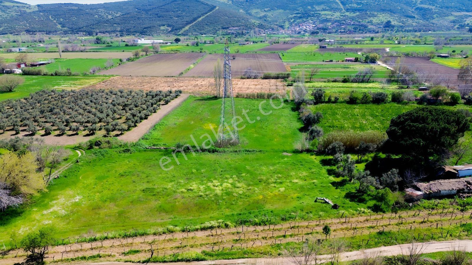 Bergama Atatürk Mahallesinde Bağlar'da Satılık 4.560m2 Bağ - Görsel 15