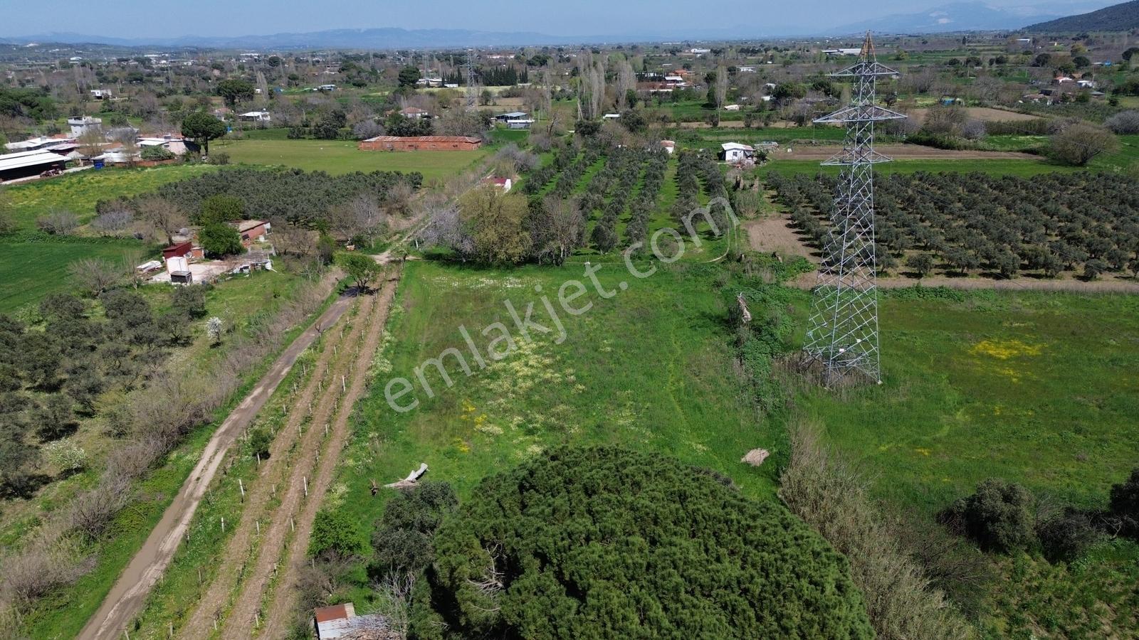 Bergama Atatürk Mahallesinde Bağlar'da Satılık 4.560m2 Bağ - Görsel 8