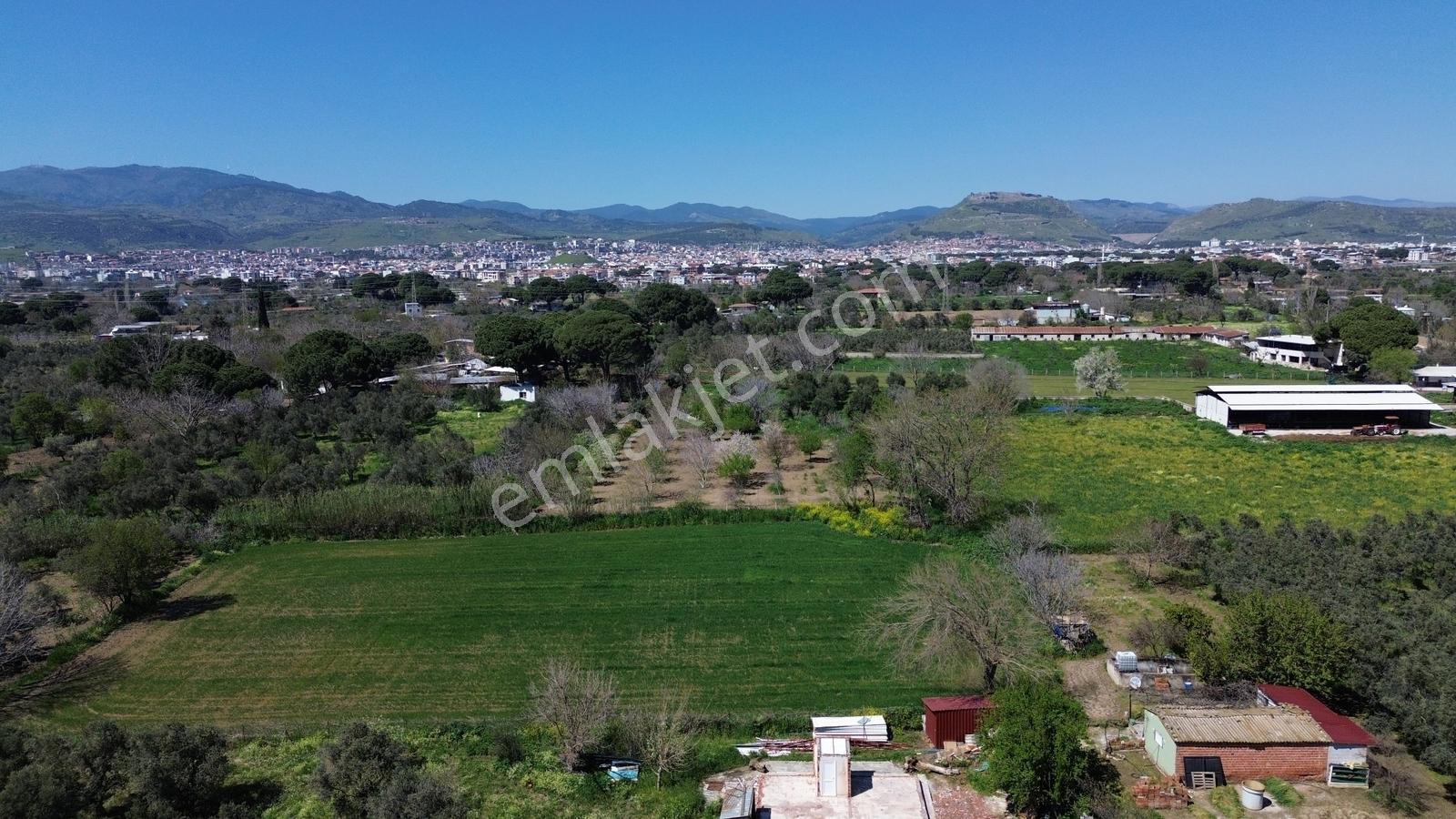 Bergama Atatürk Mahallesinde Bağlar'da Satılık 4.560m2 Bağ - Görsel 25