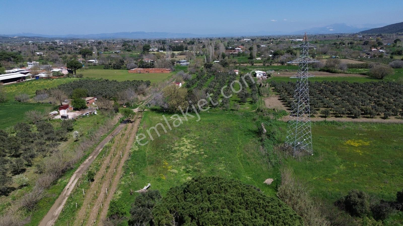 Bergama Atatürk Mahallesinde Bağlar'da Satılık 4.560m2 Bağ - Görsel 11