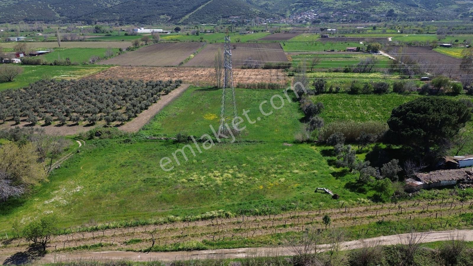 Bergama Atatürk Mahallesinde Bağlar'da Satılık 4.560m2 Bağ - Görsel 9