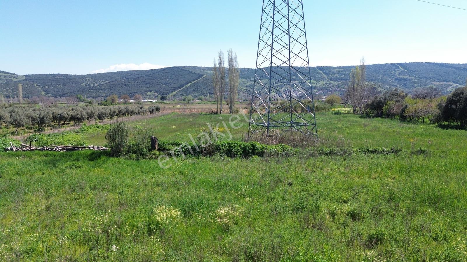 Bergama Atatürk Mahallesinde Bağlar'da Satılık 4.560m2 Bağ - Görsel 20
